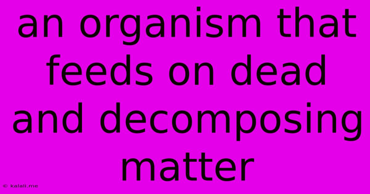 An Organism That Feeds On Dead And Decomposing Matter