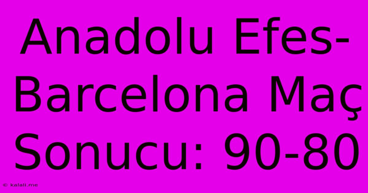 Anadolu Efes-Barcelona Maç Sonucu: 90-80