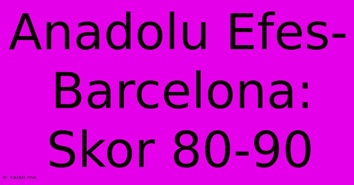 Anadolu Efes-Barcelona: Skor 80-90