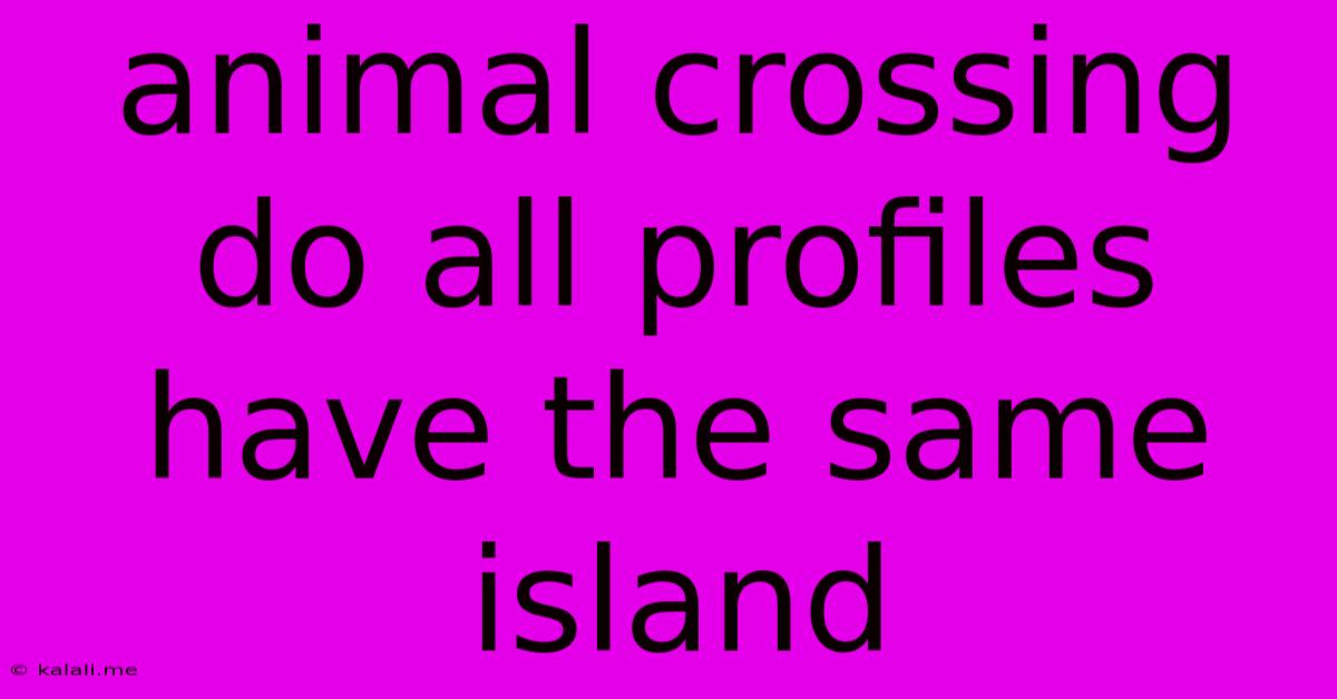 Animal Crossing Do All Profiles Have The Same Island
