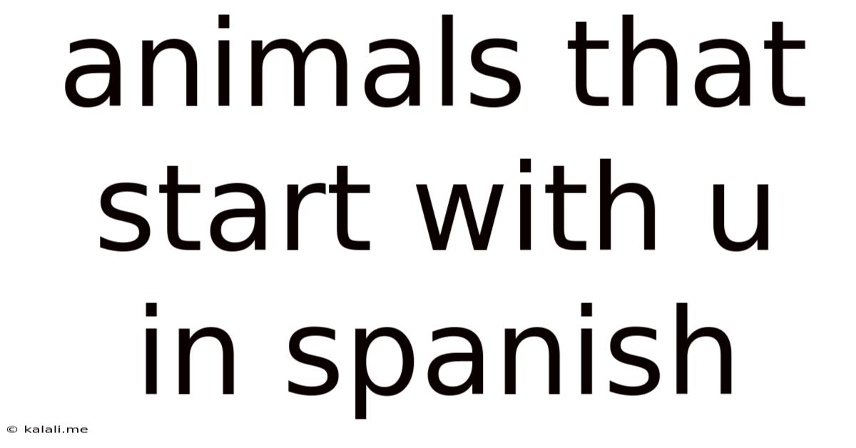 Animals That Start With U In Spanish