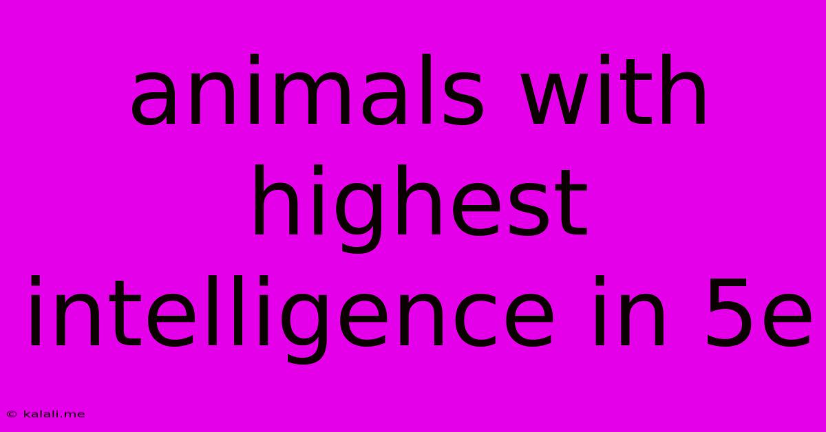 Animals With Highest Intelligence In 5e