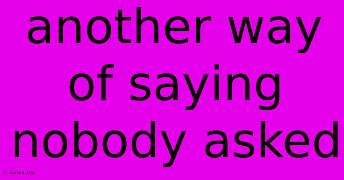 Another Way Of Saying Nobody Asked