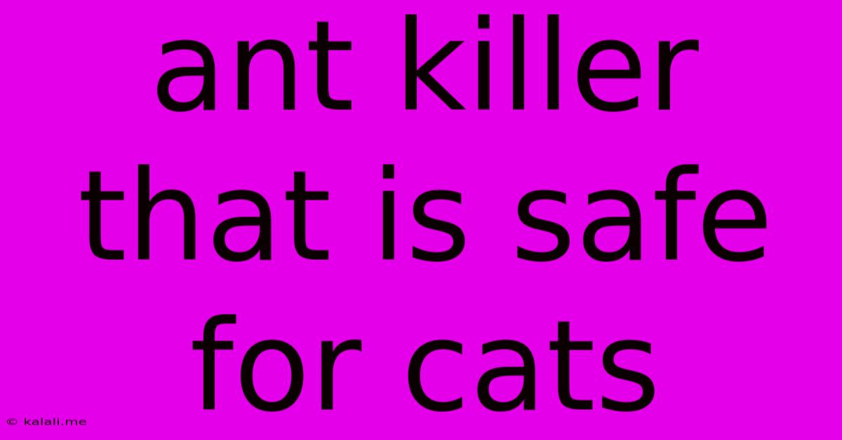 Ant Killer That Is Safe For Cats