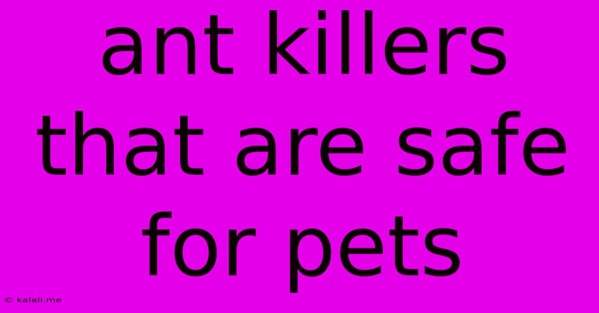 Ant Killers That Are Safe For Pets