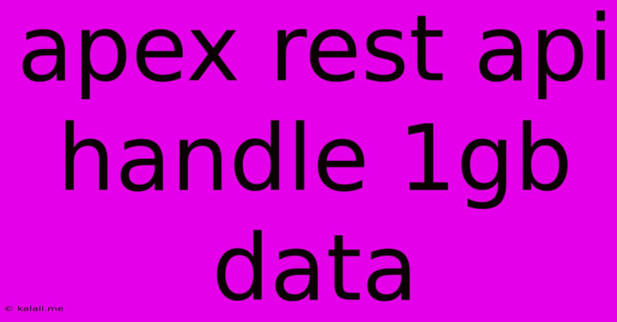 Apex Rest Api Handle 1gb Data