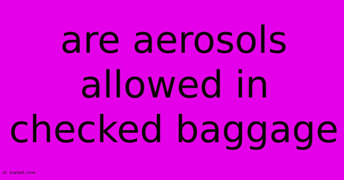 Are Aerosols Allowed In Checked Baggage