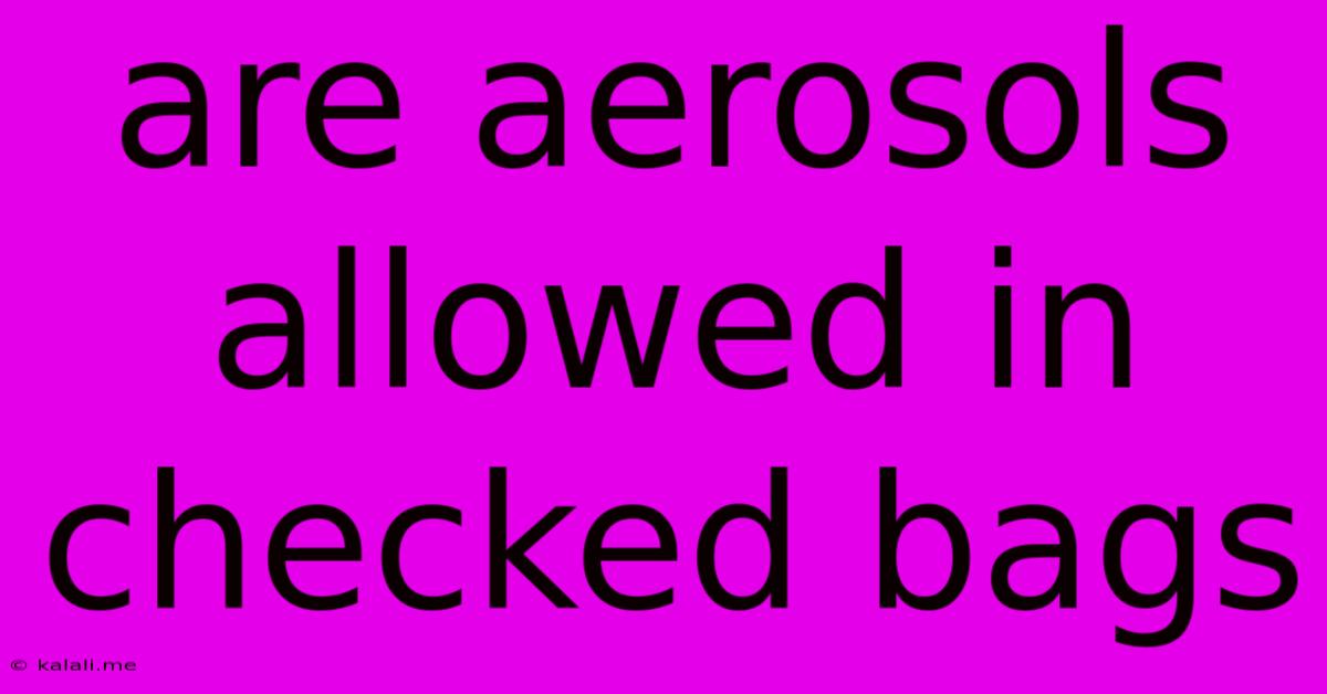 Are Aerosols Allowed In Checked Bags