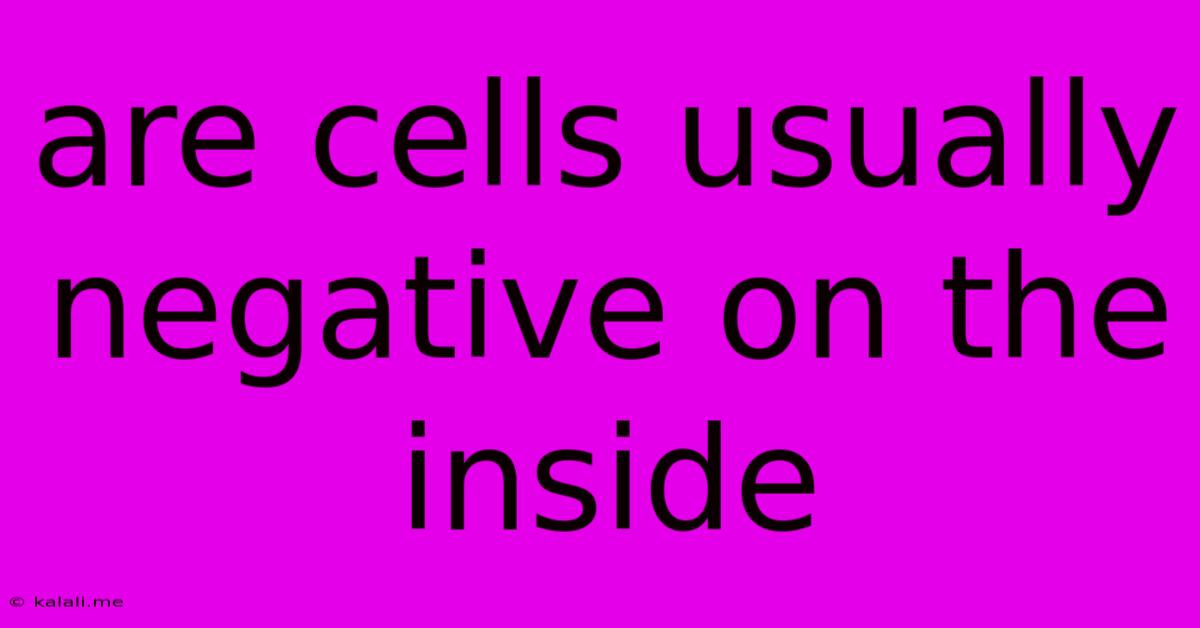 Are Cells Usually Negative On The Inside