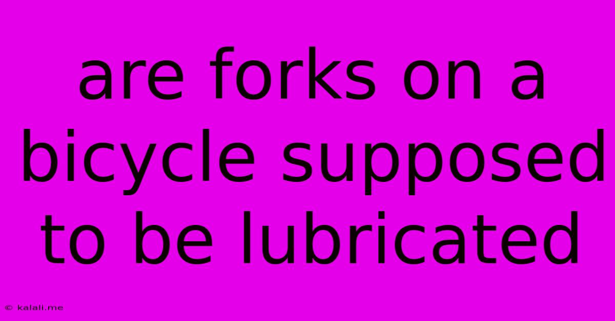 Are Forks On A Bicycle Supposed To Be Lubricated