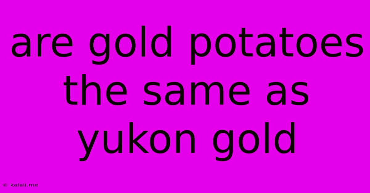 Are Gold Potatoes The Same As Yukon Gold