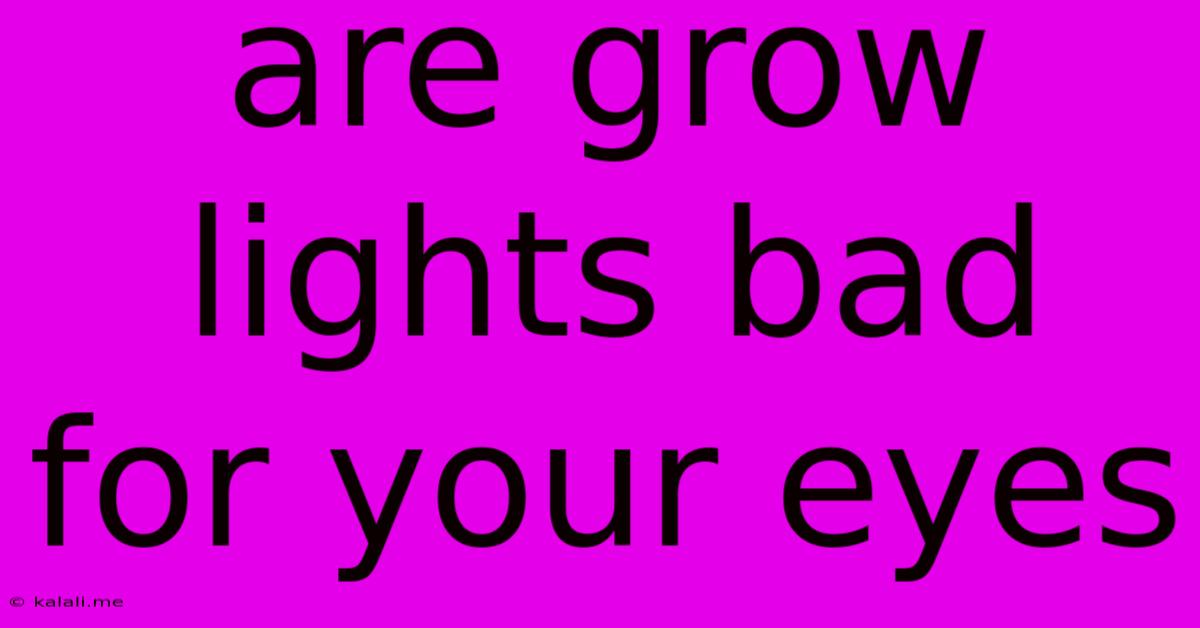 Are Grow Lights Bad For Your Eyes