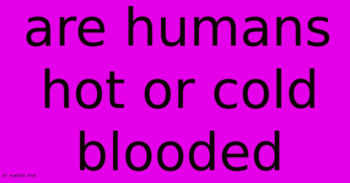 Are Humans Hot Or Cold Blooded