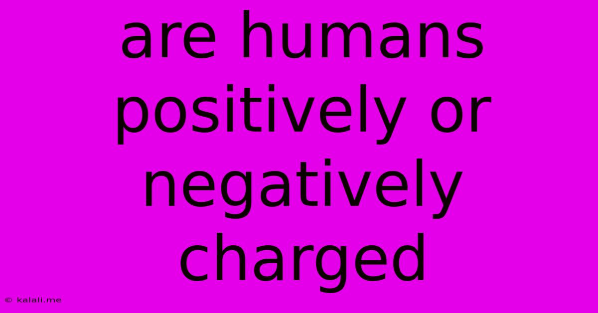Are Humans Positively Or Negatively Charged