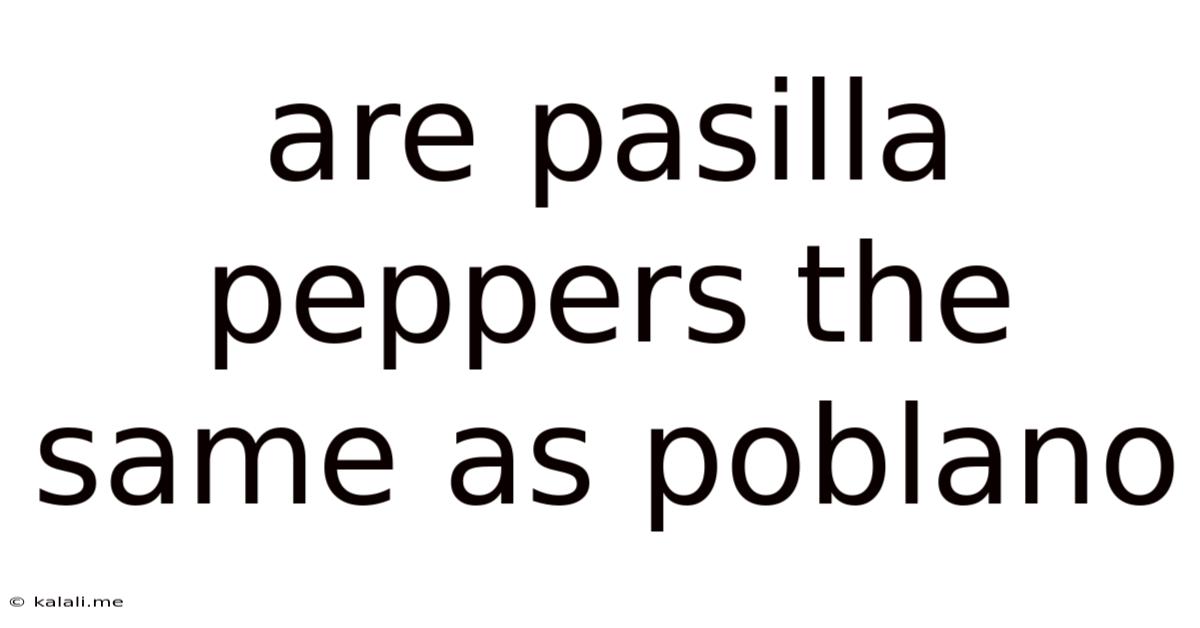 Are Pasilla Peppers The Same As Poblano