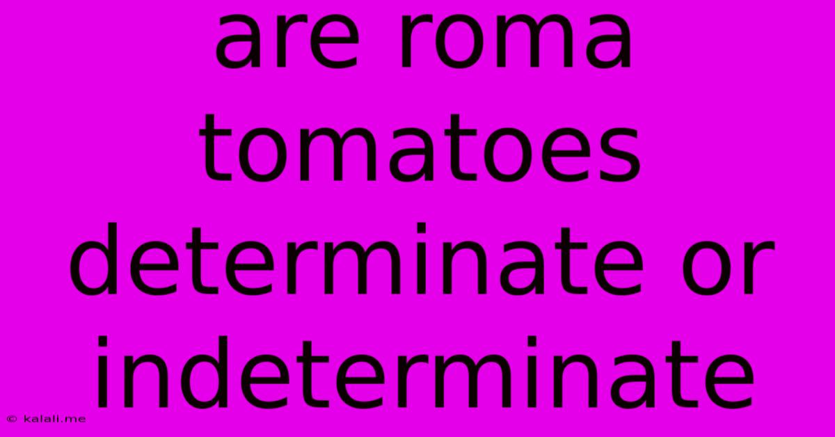 Are Roma Tomatoes Determinate Or Indeterminate