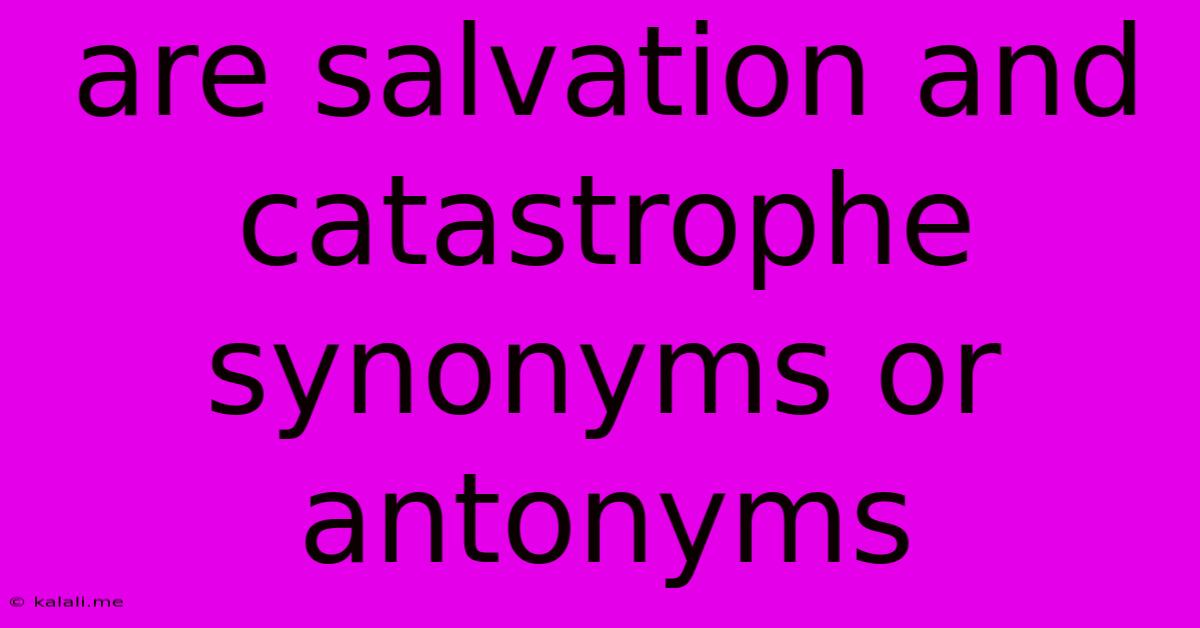Are Salvation And Catastrophe Synonyms Or Antonyms