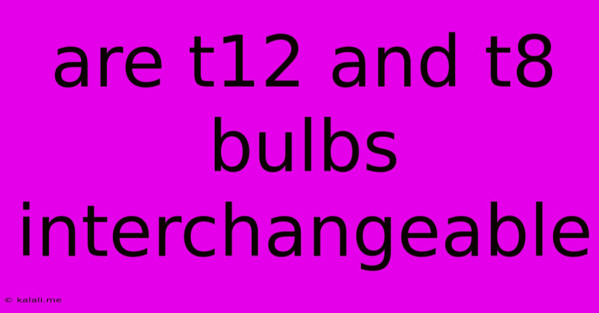 Are T12 And T8 Bulbs Interchangeable
