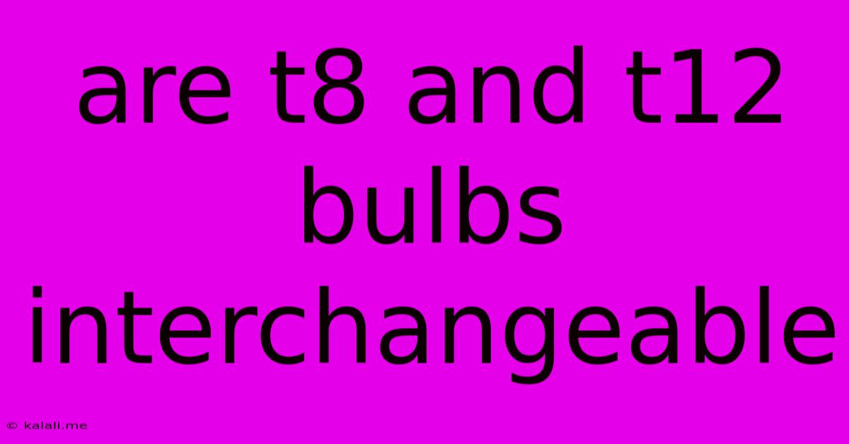 Are T8 And T12 Bulbs Interchangeable