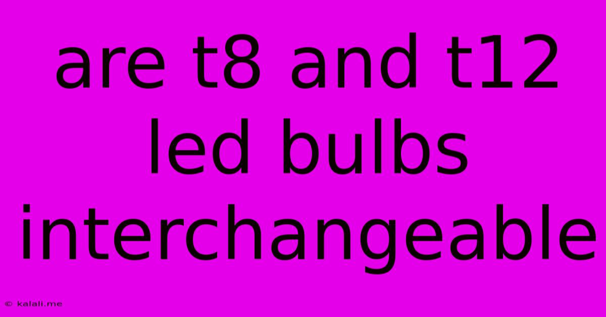 Are T8 And T12 Led Bulbs Interchangeable