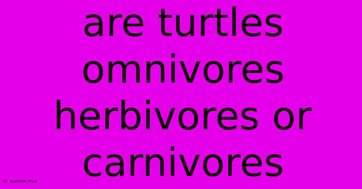 Are Turtles Omnivores Herbivores Or Carnivores