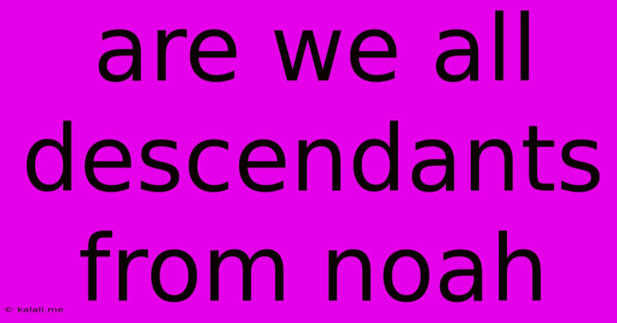 Are We All Descendants From Noah