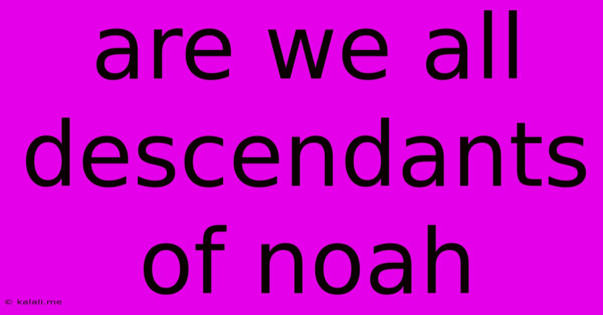 Are We All Descendants Of Noah