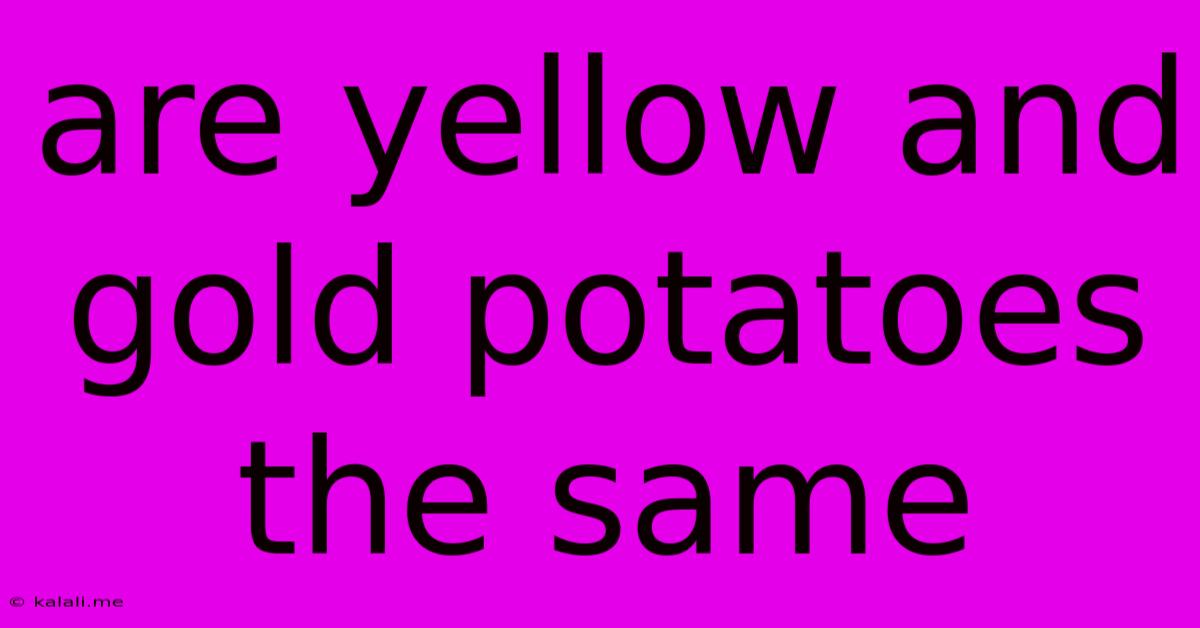 Are Yellow And Gold Potatoes The Same