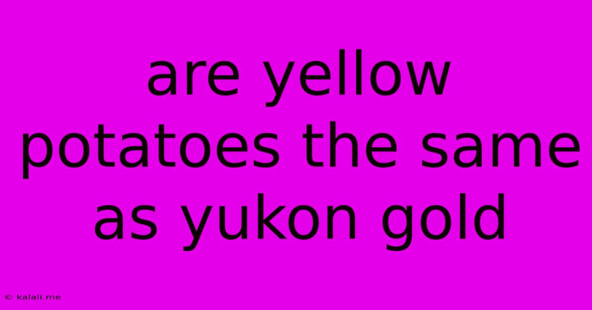 Are Yellow Potatoes The Same As Yukon Gold
