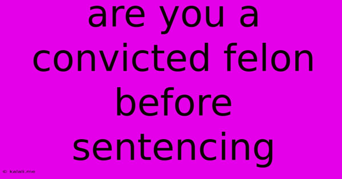 Are You A Convicted Felon Before Sentencing