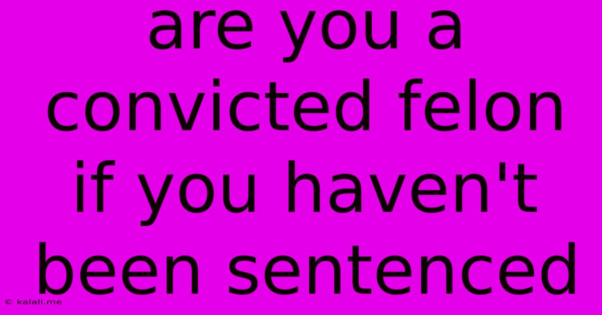 Are You A Convicted Felon If You Haven't Been Sentenced
