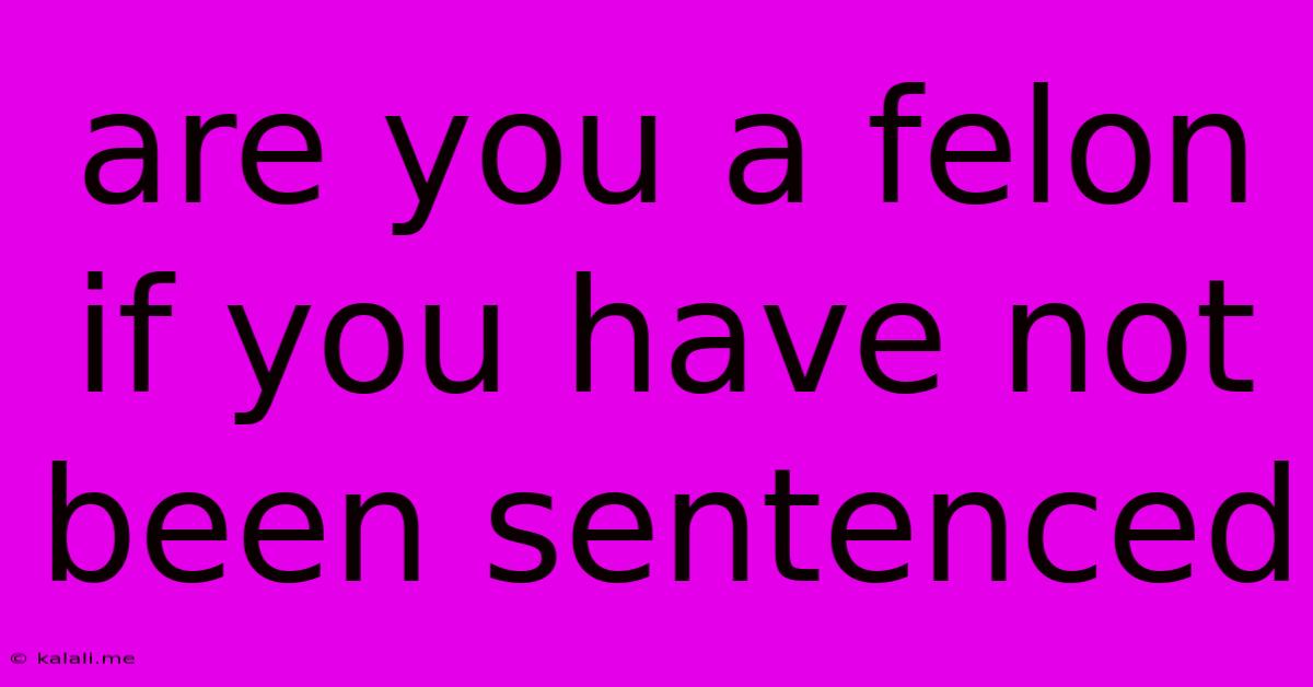Are You A Felon If You Have Not Been Sentenced
