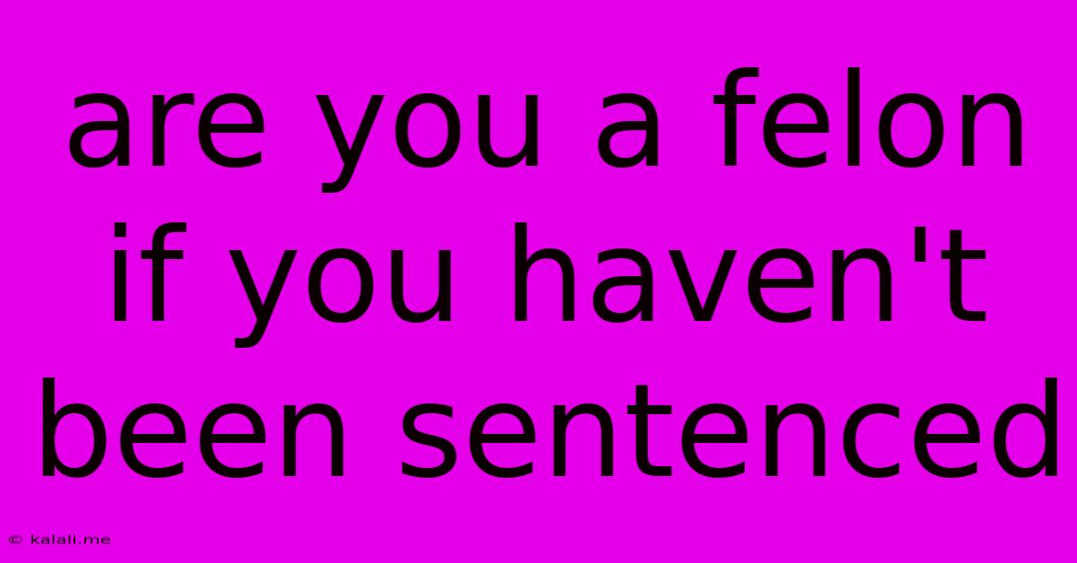 Are You A Felon If You Haven't Been Sentenced