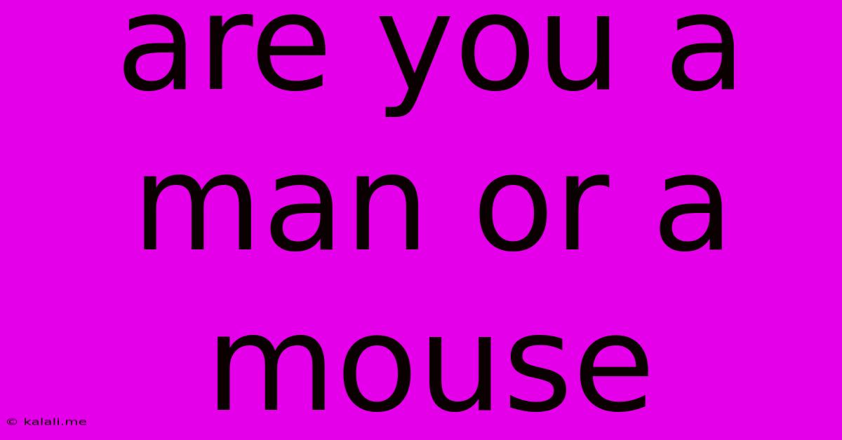 Are You A Man Or A Mouse