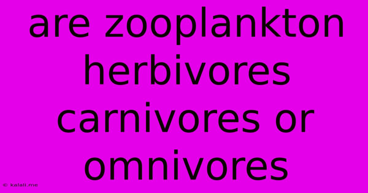 Are Zooplankton Herbivores Carnivores Or Omnivores