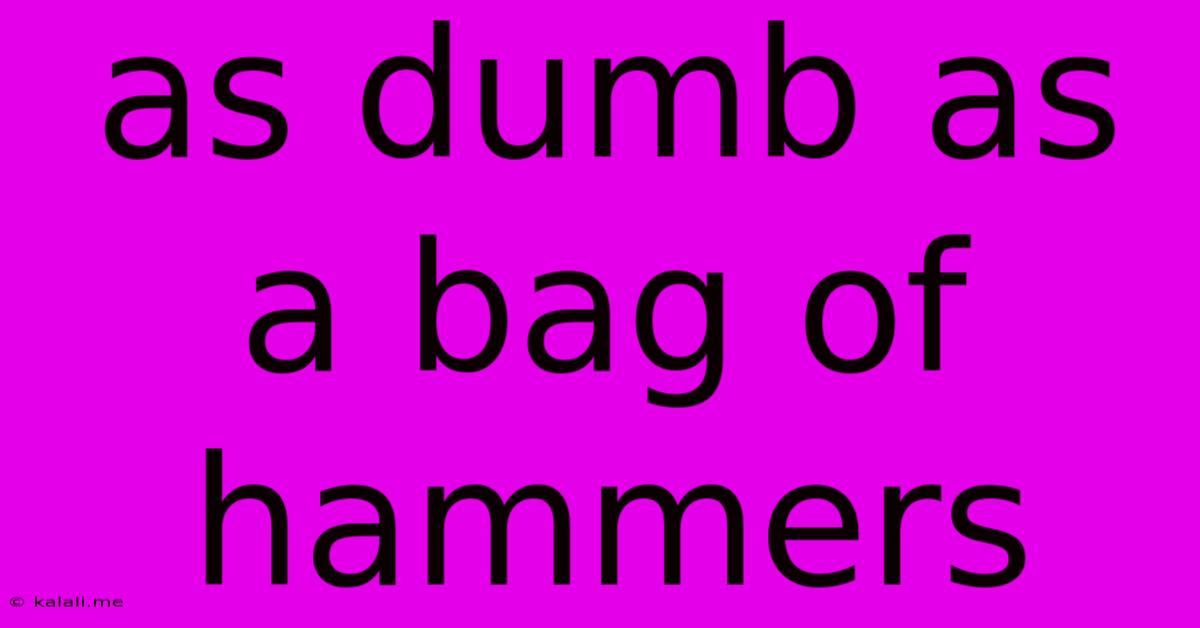 As Dumb As A Bag Of Hammers