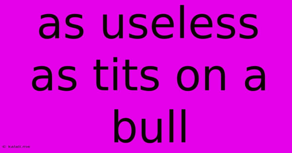 As Useless As Tits On A Bull