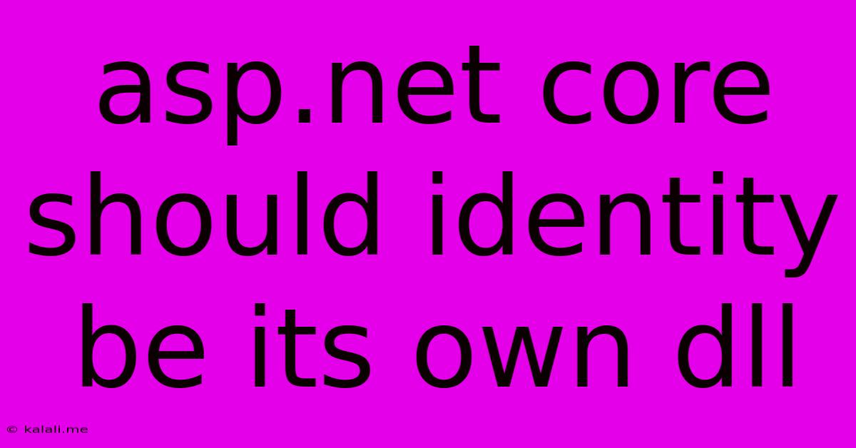 Asp.net Core Should Identity Be Its Own Dll
