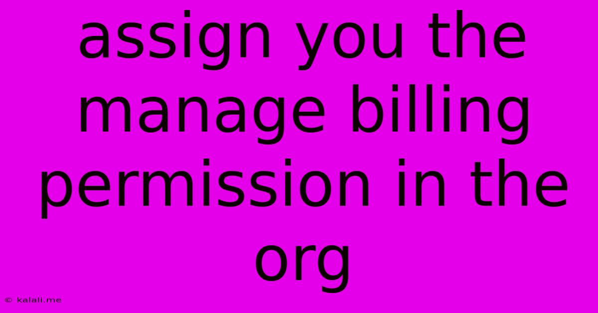 Assign You The Manage Billing Permission In The Org