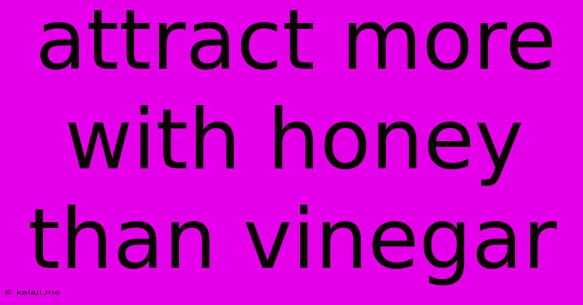 Attract More With Honey Than Vinegar