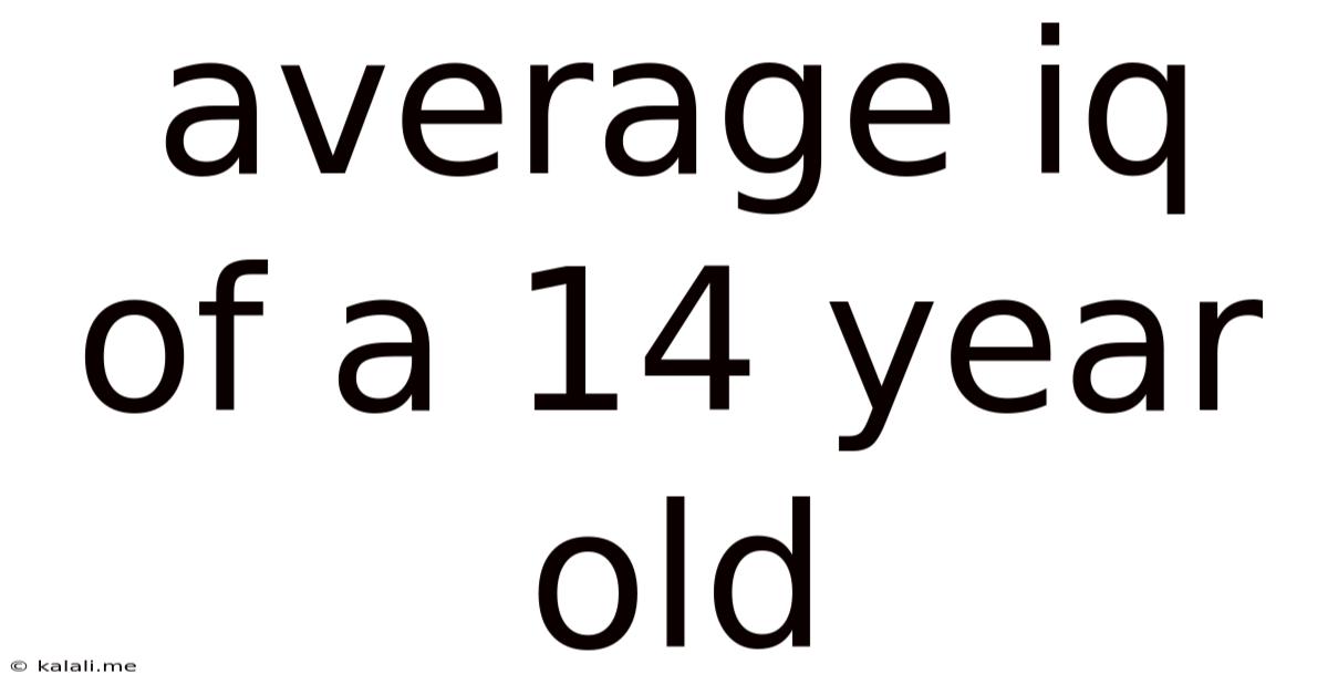 Average Iq Of A 14 Year Old