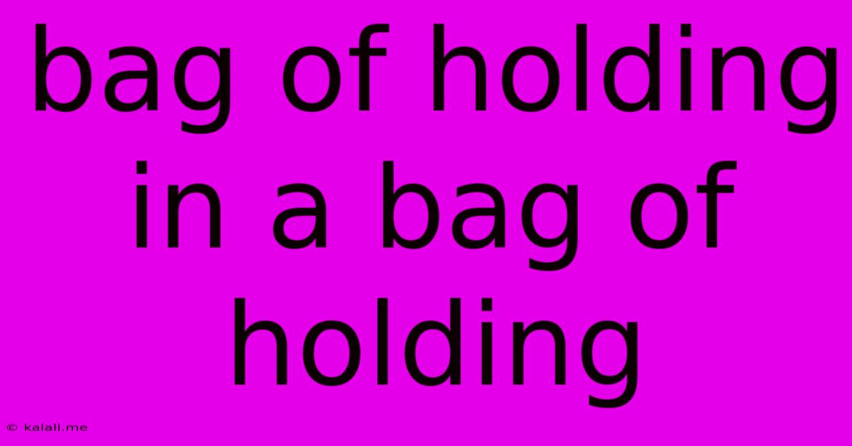 Bag Of Holding In A Bag Of Holding