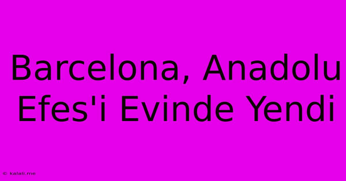 Barcelona, Anadolu Efes'i Evinde Yendi