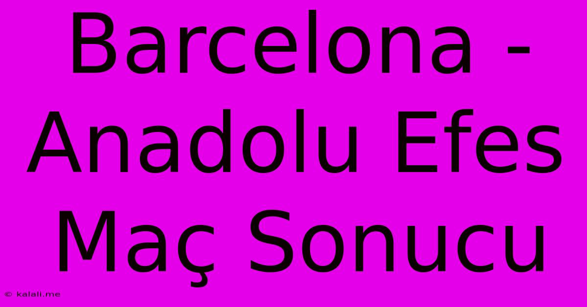 Barcelona - Anadolu Efes Maç Sonucu