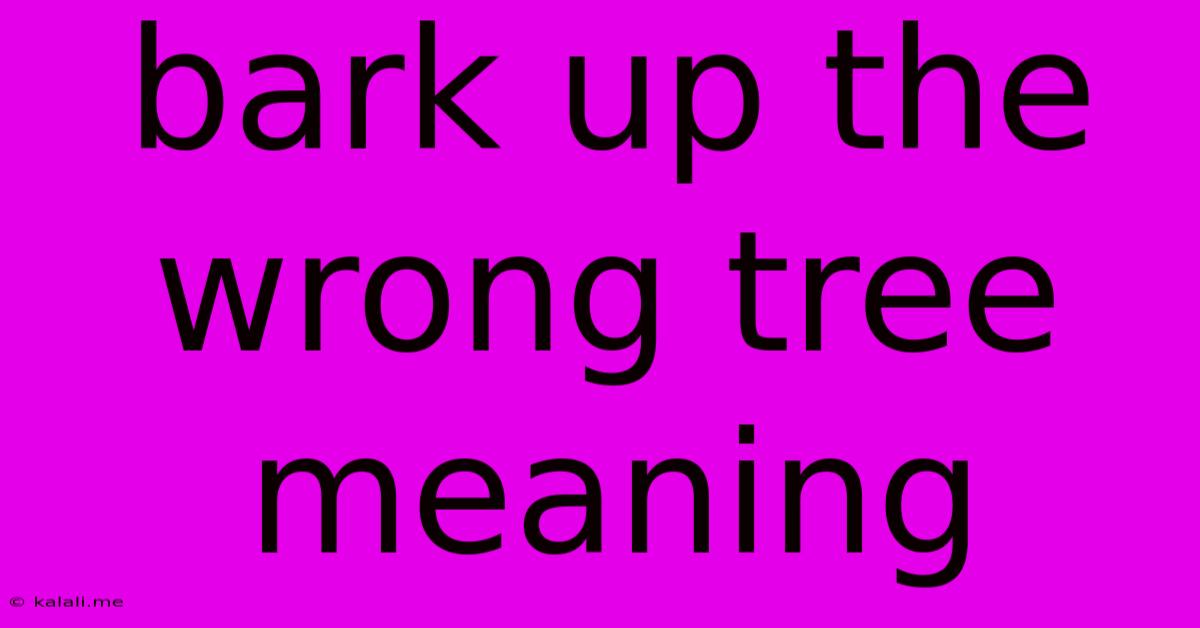 Bark Up The Wrong Tree Meaning