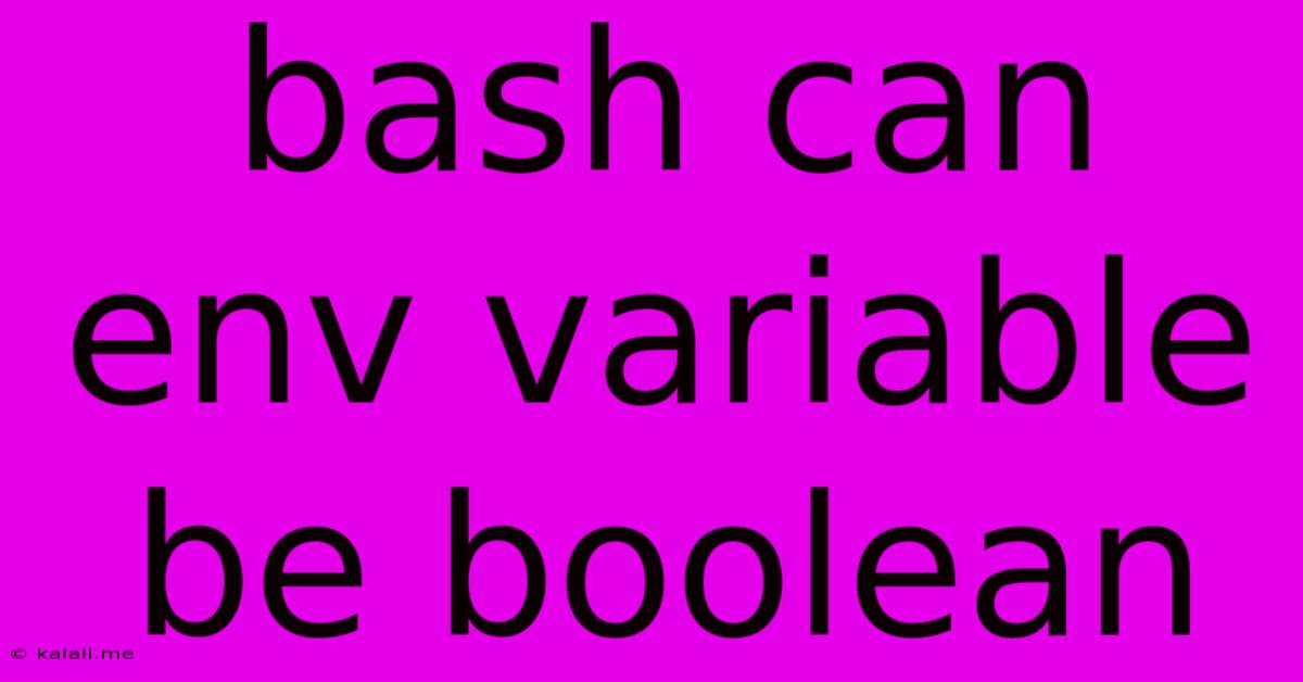 Bash Can Env Variable Be Boolean