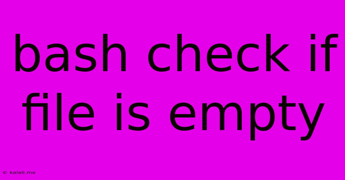 Bash Check If File Is Empty