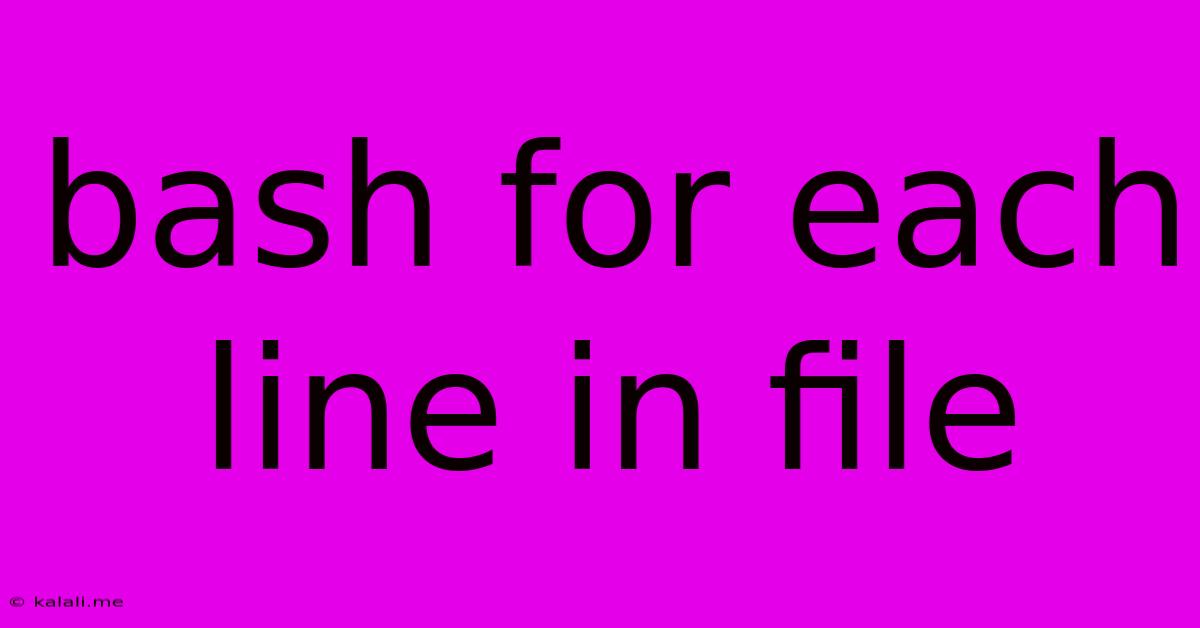 Bash For Each Line In File