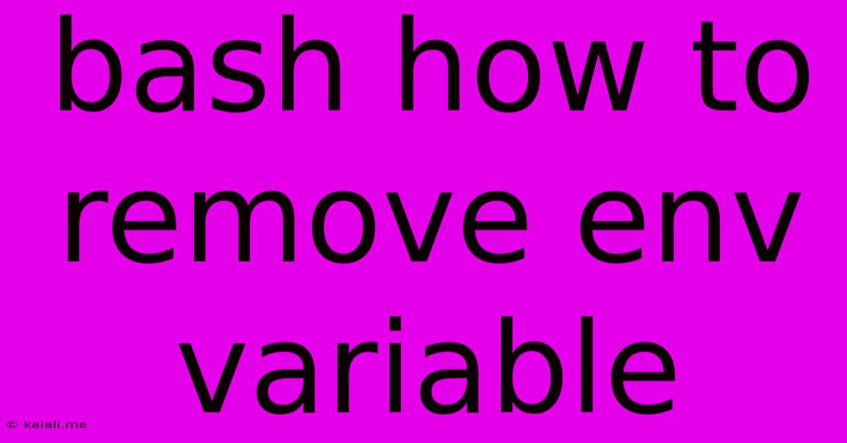 Bash How To Remove Env Variable