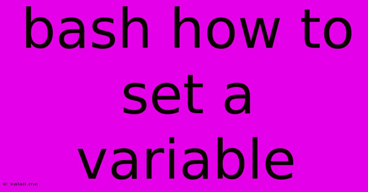 Bash How To Set A Variable